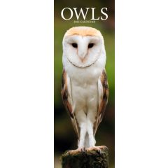 Owls Slimline Calendar 2025