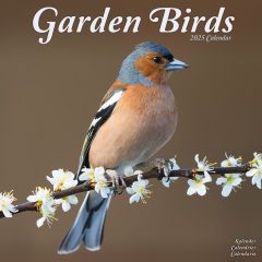 Garden Birds 12'' Calendar 2025